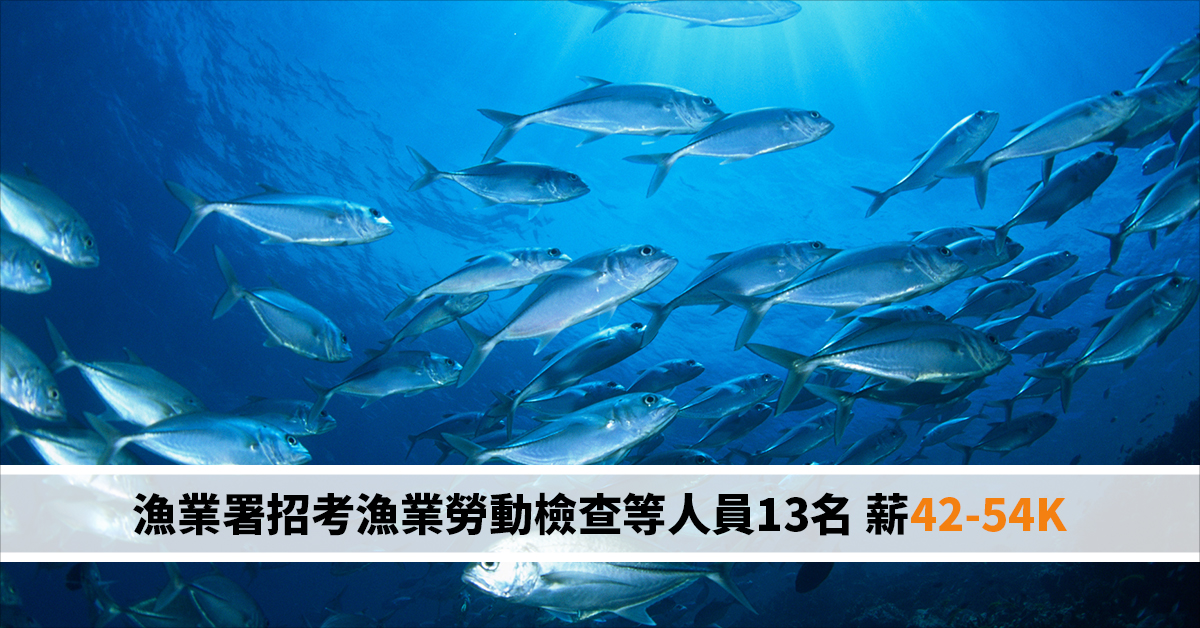 漁業署招考漁業勞動檢查等人員13名 薪42-54K