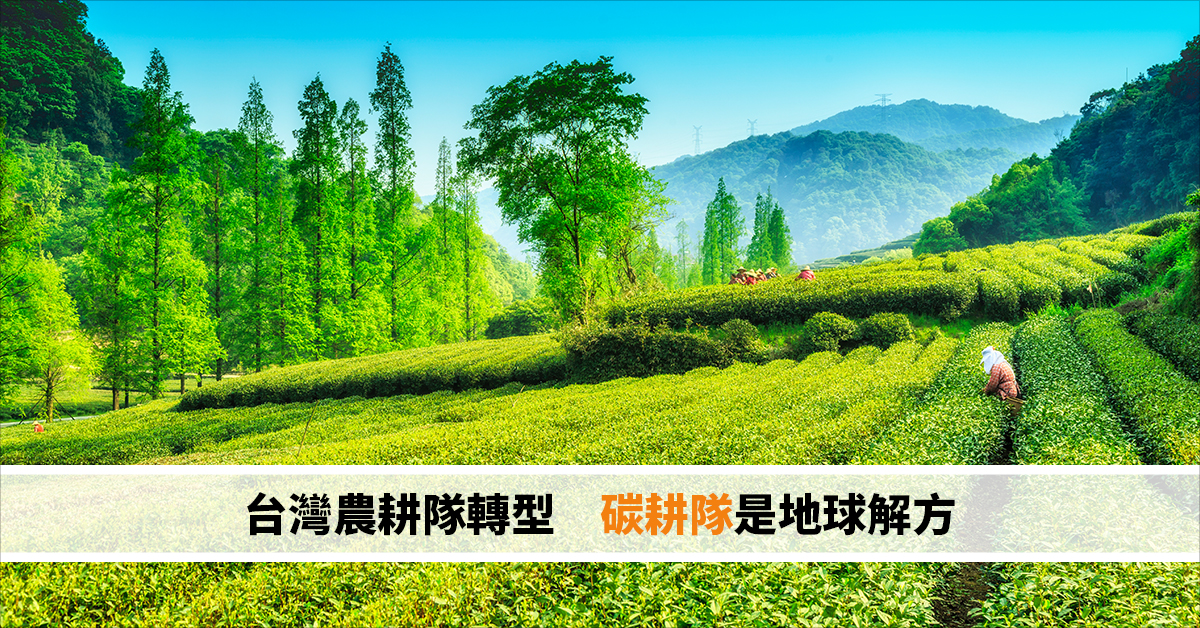 台灣農耕隊轉型 碳耕隊是地球解方