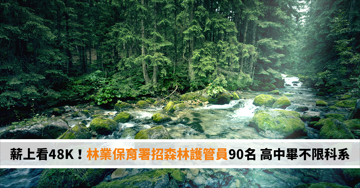 薪上看48K！林業保育署招森林護管員90名 高中畢不限科系