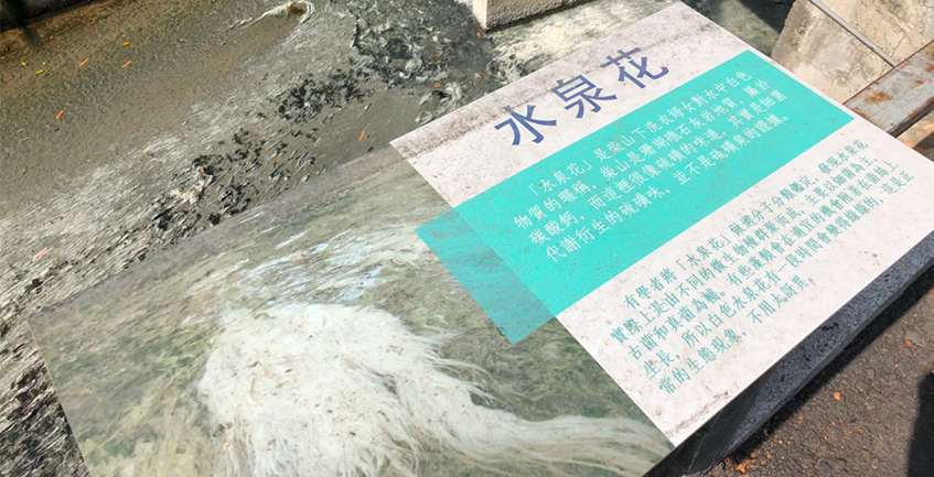 加熱溫泉？高雄市區發現日據時代溫泉遺址
